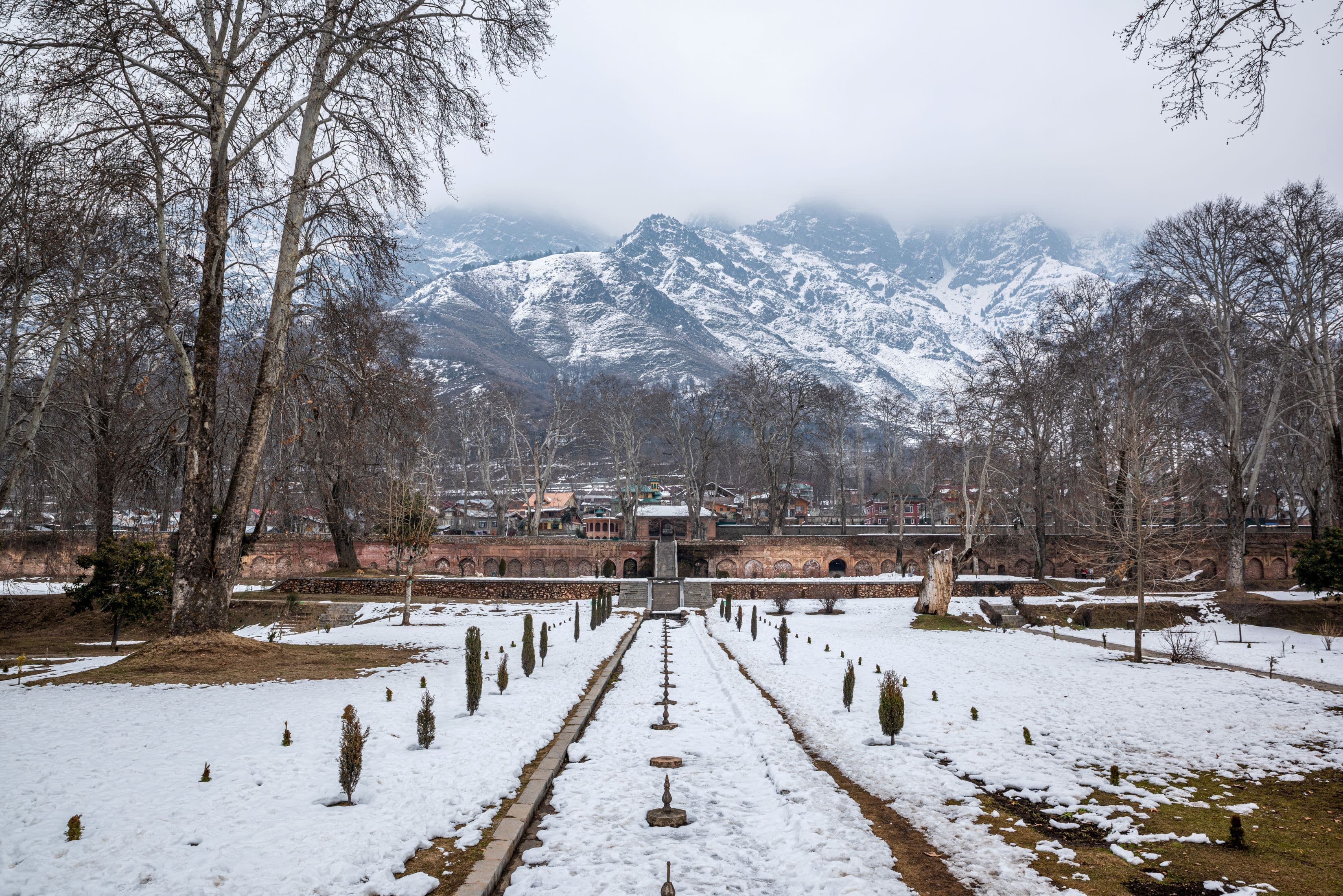 mughal garden winter 1