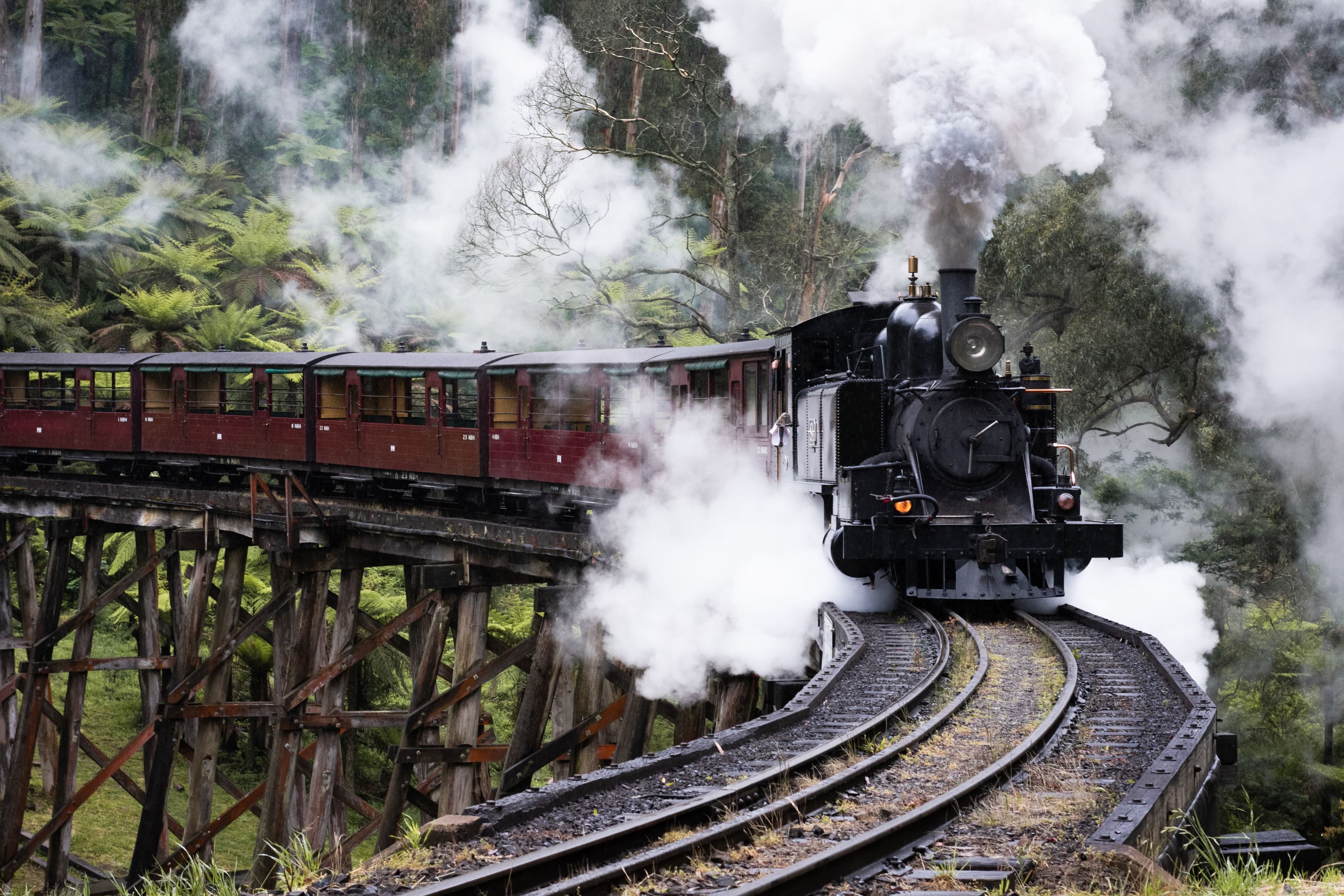 Puffing Billy Railway 1