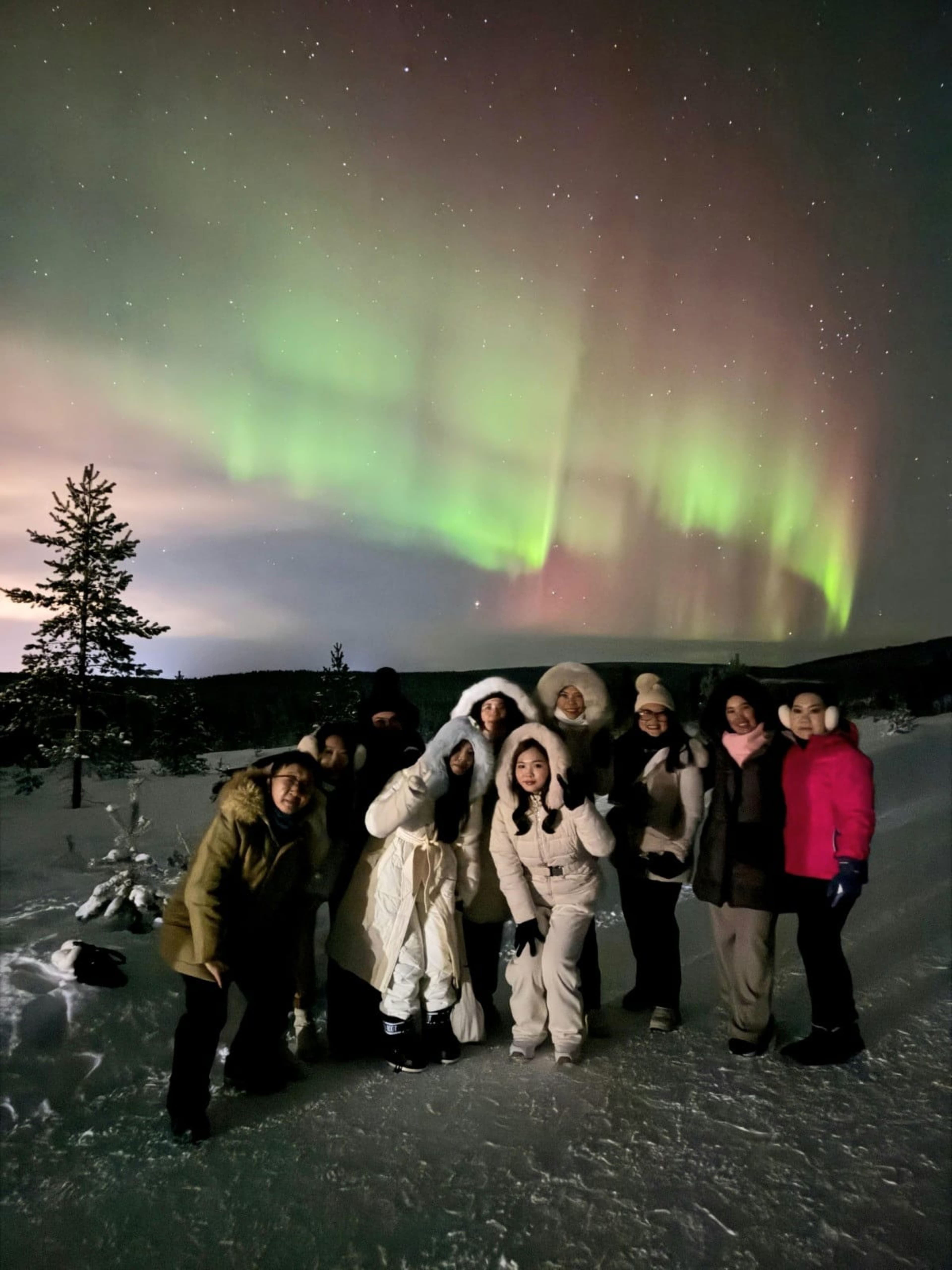 SCANDINAVIA LAPLAND BALTIC 7 NEGARA & AURORA HUNTING