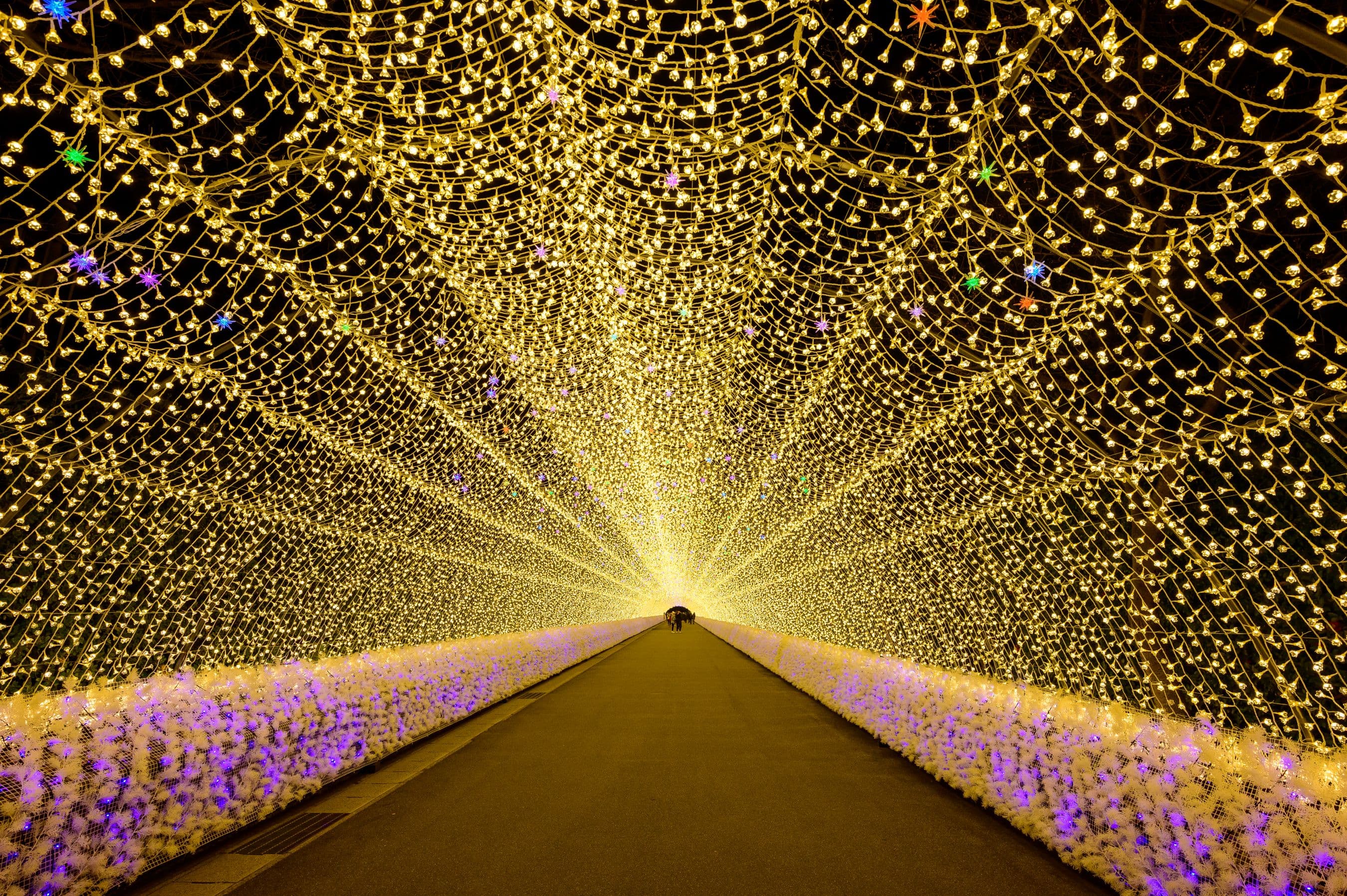 WINTER JAPAN GOLDEN ROUTE + FUJITEN SKI RESORT & DISNEYSEA
