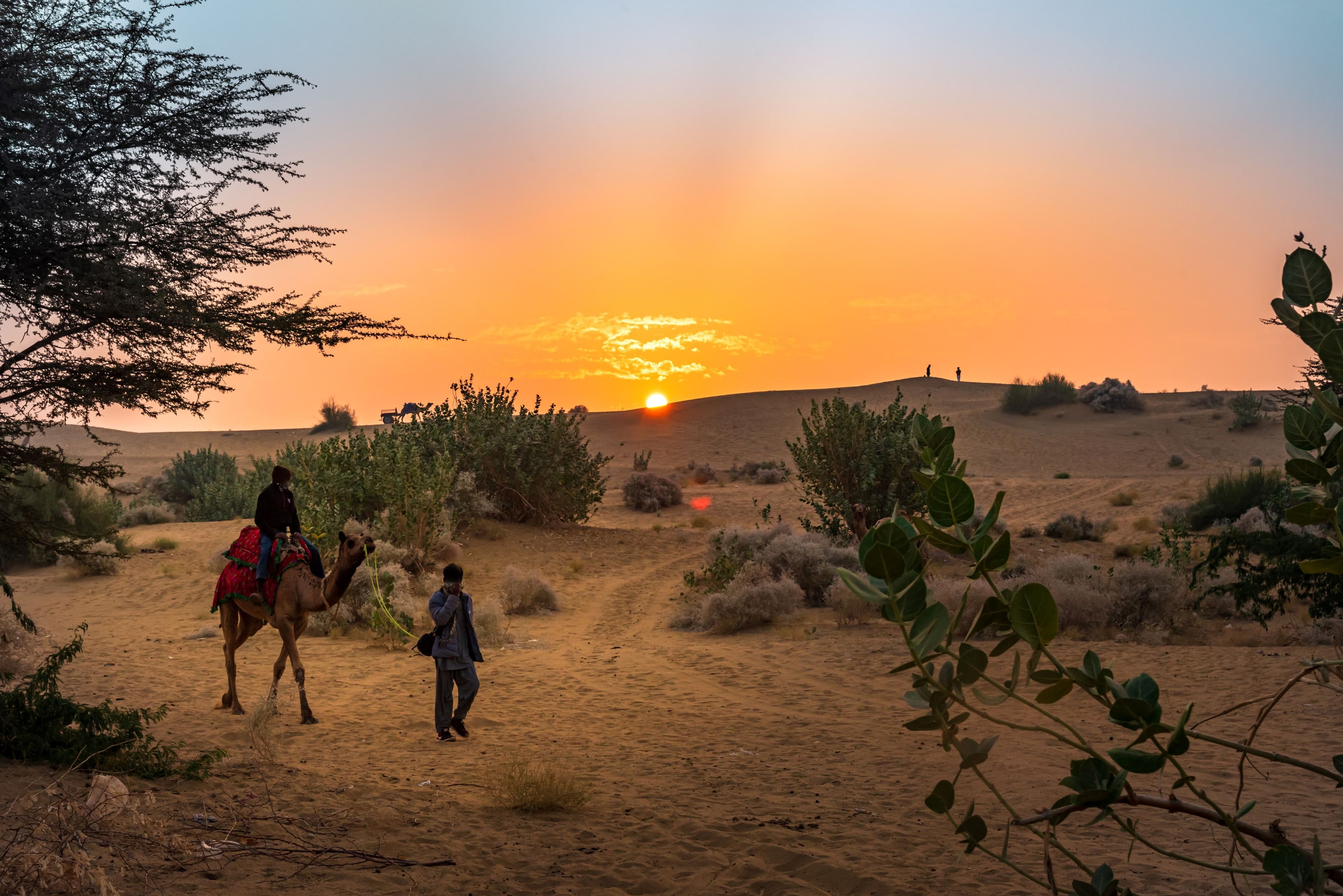 WINTER INDIA JAISALMER