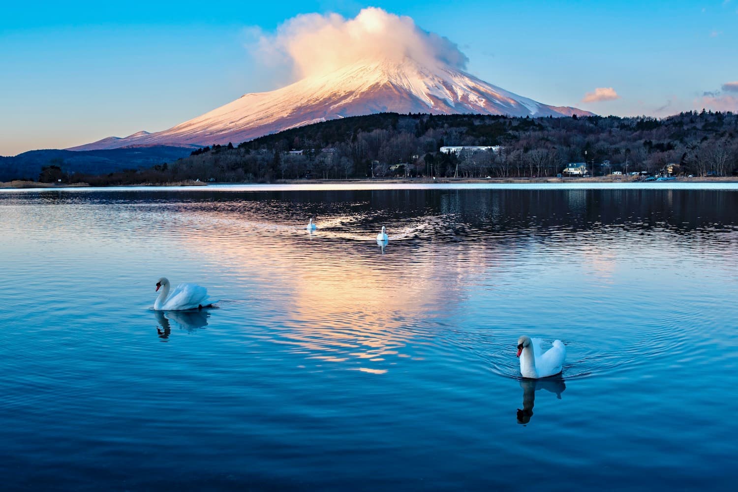 WINTER JAPAN GOLDEN ROUTE + SHIRAKAWAGO & FUJITEN SKI RESORT