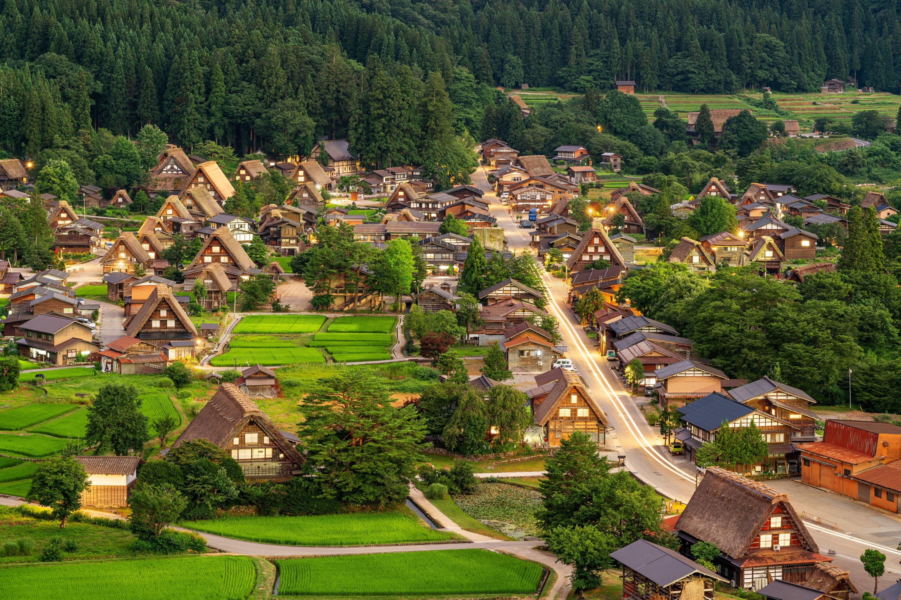 JAPAN GOLDEN ROUTE CHERRY BLOSSOM + SHIRAKAWAGO