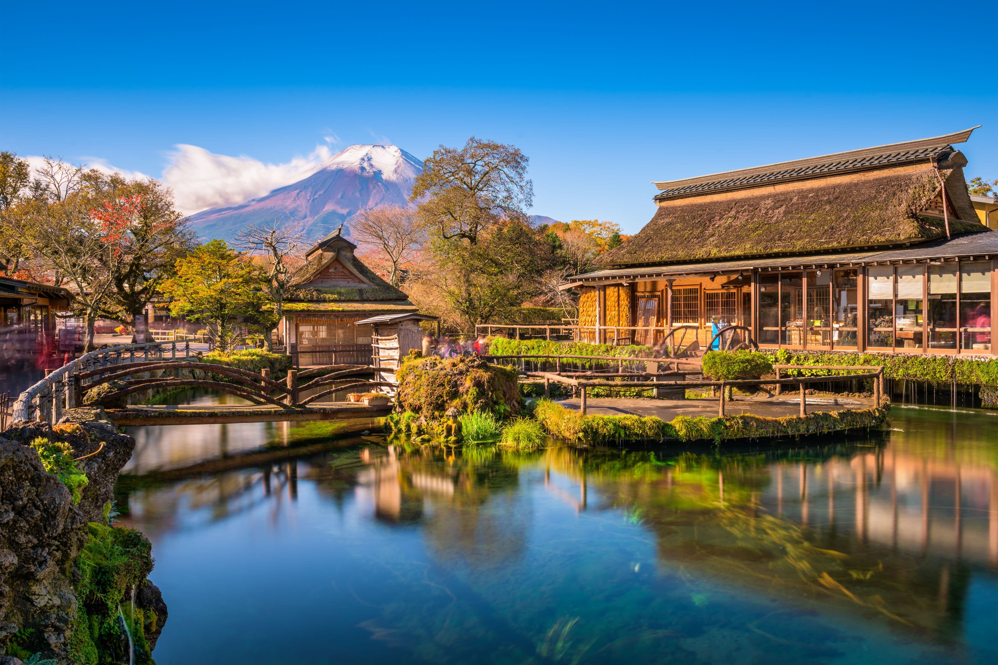 JAPAN GOLDEN ROUTE CHERRY BLOSSOM + SHIRAKAWAGO
