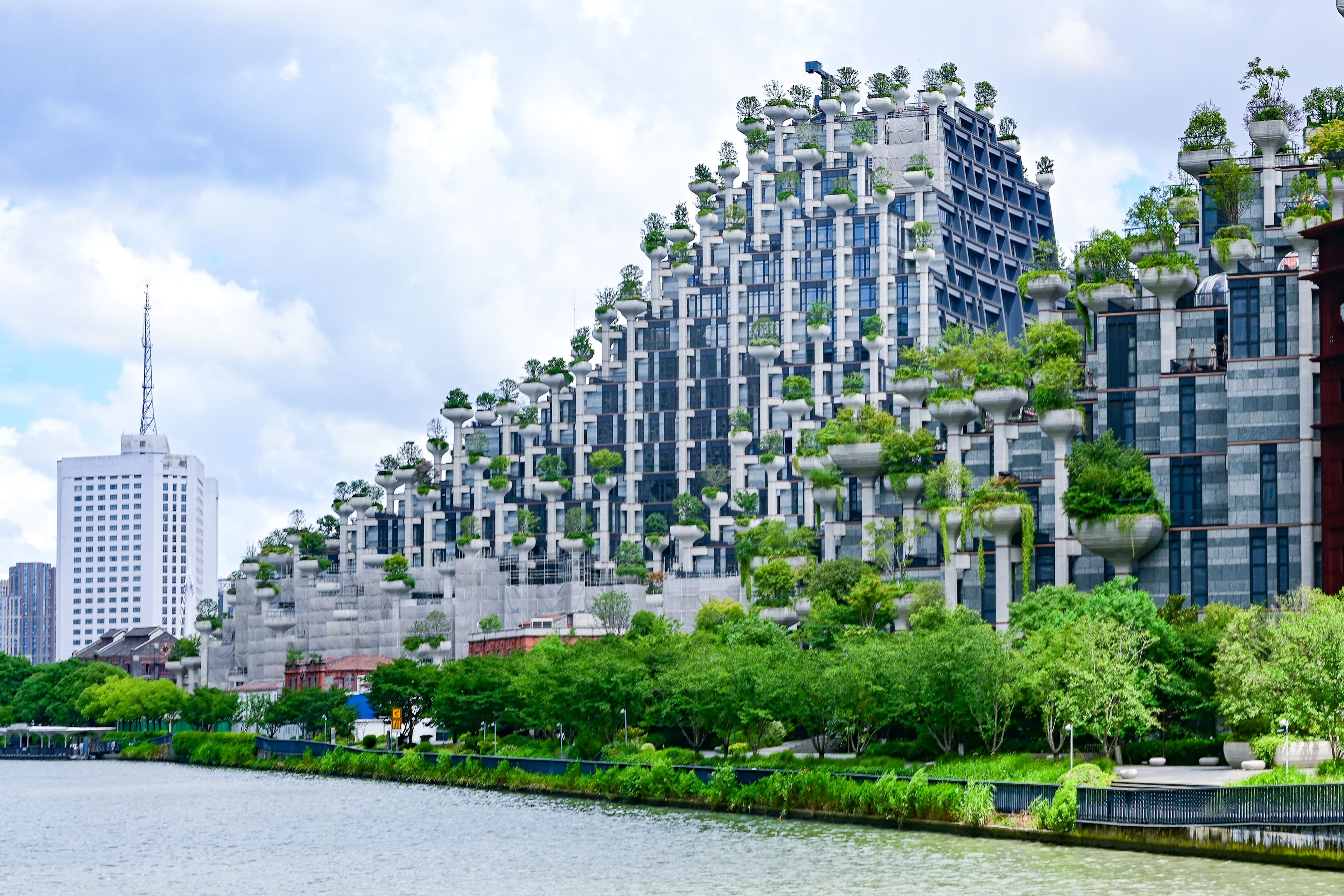 Tian An 1000 trees shanghai
