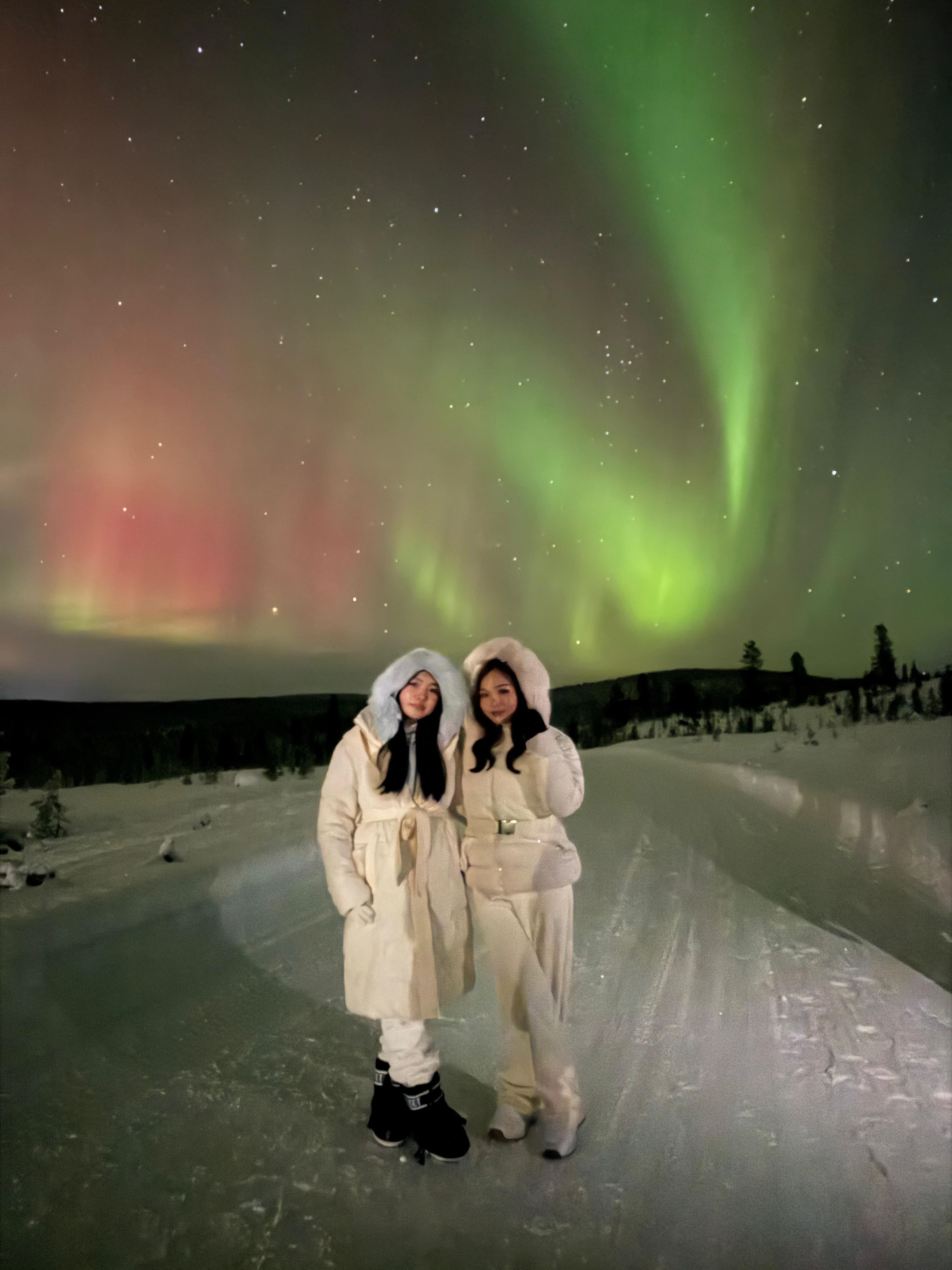SCANDINAVIA LAPLAND BALTIC 7 NEGARA & AURORA HUNTING